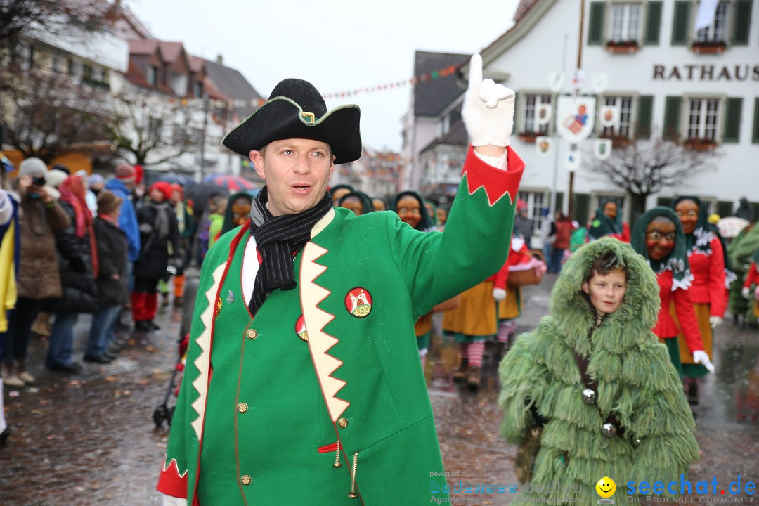 Fasnetsumzug - Fasching: Langenargen am Bodensee, 10.01.2016