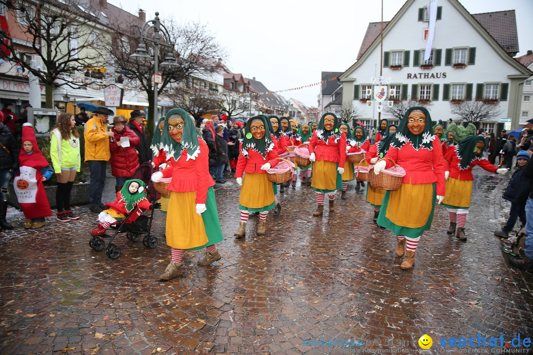 Fasnetsumzug - Fasching: Langenargen am Bodensee, 10.01.2016