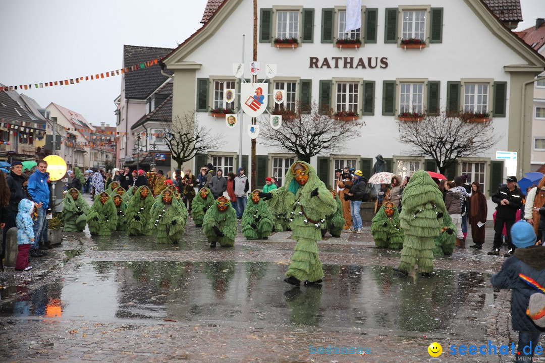 Fasnetsumzug - Fasching: Langenargen am Bodensee, 10.01.2016