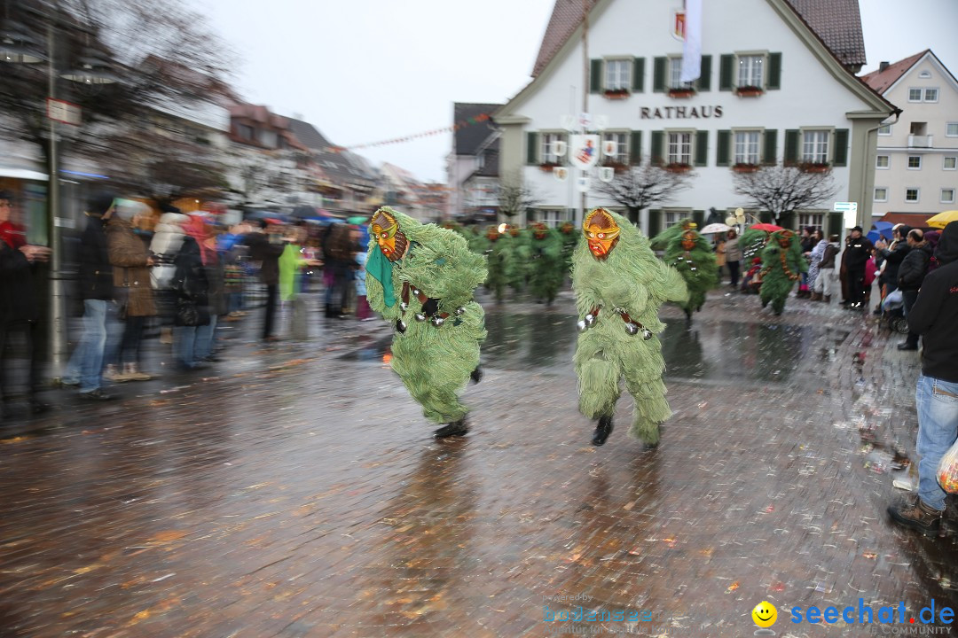 Fasnetsumzug - Fasching: Langenargen am Bodensee, 10.01.2016