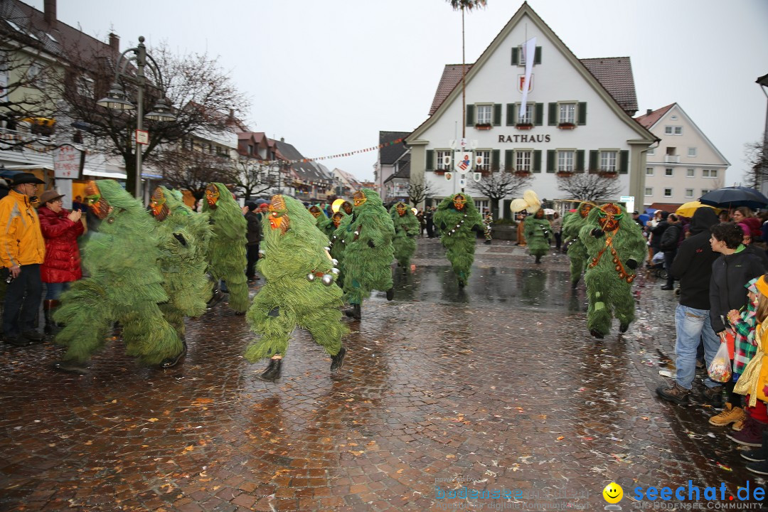 Fasnetsumzug - Fasching: Langenargen am Bodensee, 10.01.2016