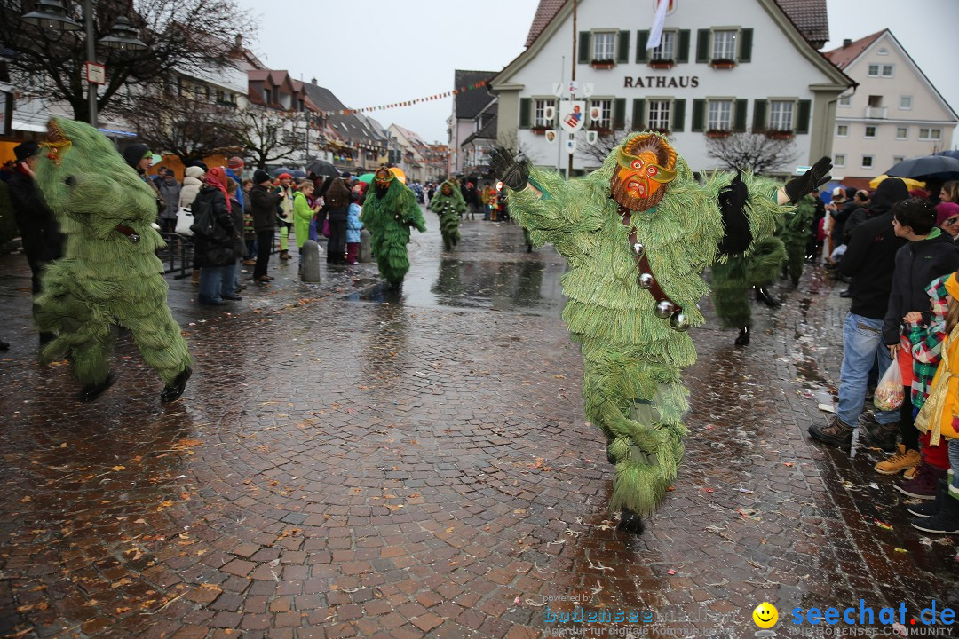 Fasnetsumzug - Fasching: Langenargen am Bodensee, 10.01.2016