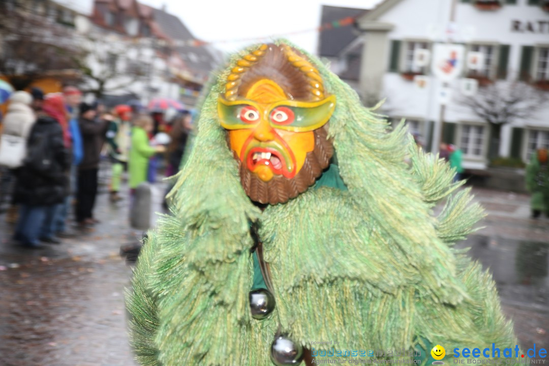 Fasnetsumzug - Fasching: Langenargen am Bodensee, 10.01.2016