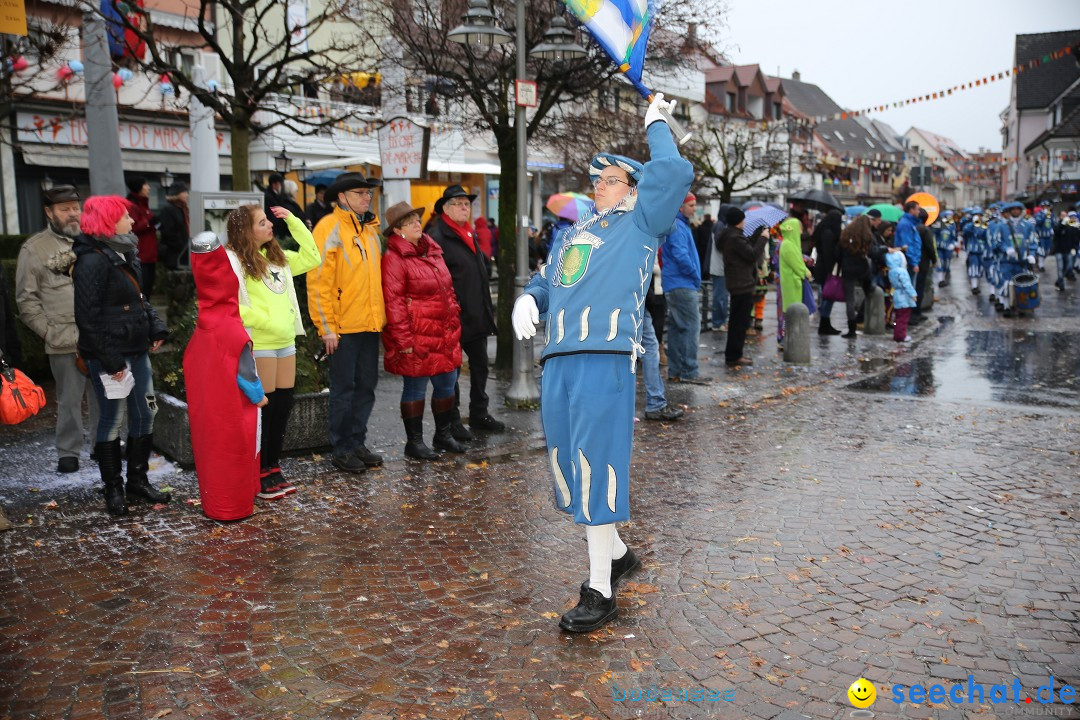 Fasnetsumzug - Fasching: Langenargen am Bodensee, 10.01.2016