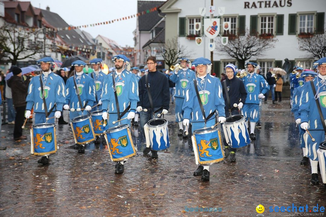 Fasnetsumzug - Fasching: Langenargen am Bodensee, 10.01.2016