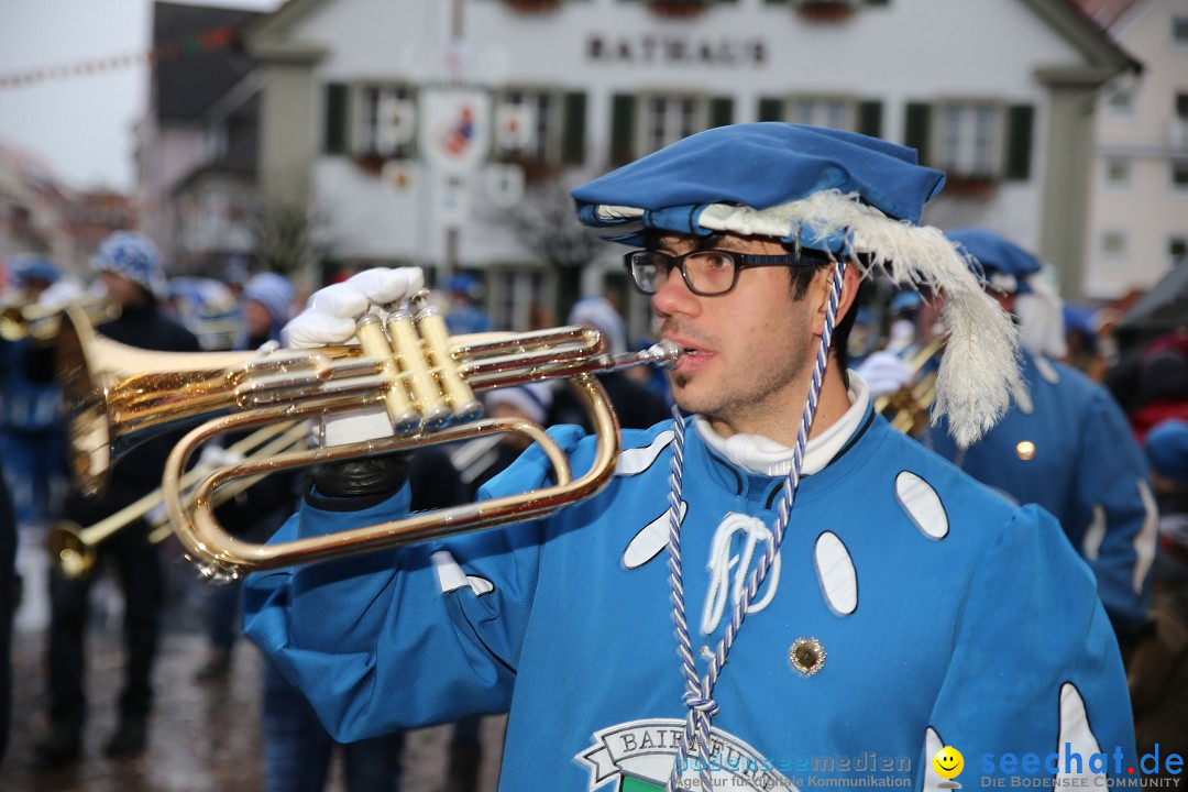 Fasnetsumzug - Fasching: Langenargen am Bodensee, 10.01.2016