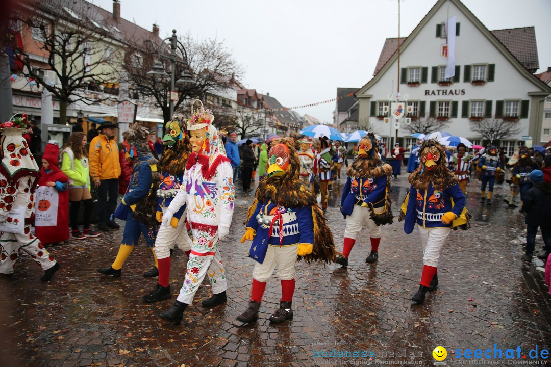 Fasnetsumzug - Fasching: Langenargen am Bodensee, 10.01.2016