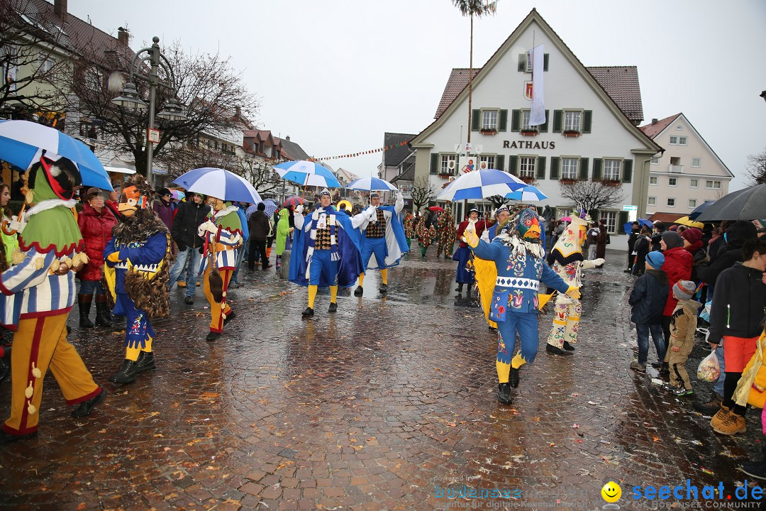 Fasnetsumzug - Fasching: Langenargen am Bodensee, 10.01.2016