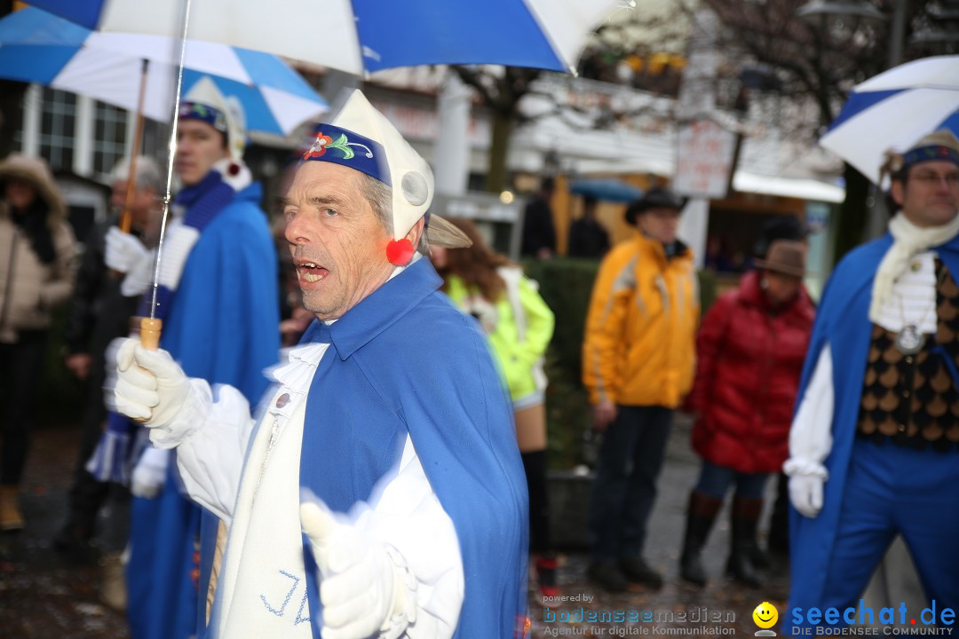 Fasnetsumzug - Fasching: Langenargen am Bodensee, 10.01.2016