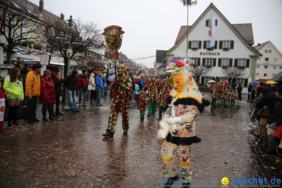 Fasnetsumzug - Fasching: Langenargen am Bodensee, 10.01.2016