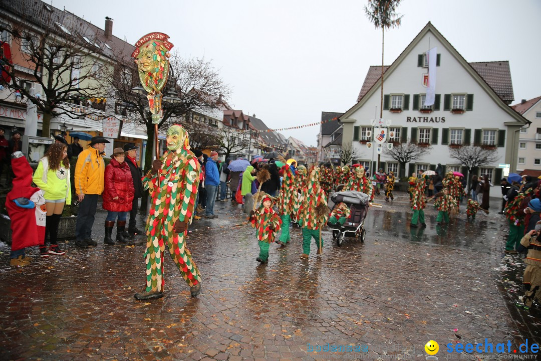 Fasnetsumzug - Fasching: Langenargen am Bodensee, 10.01.2016