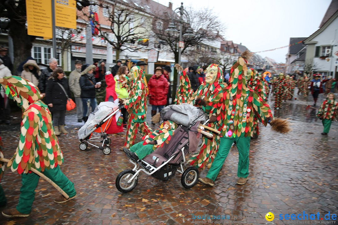 Fasnetsumzug - Fasching: Langenargen am Bodensee, 10.01.2016