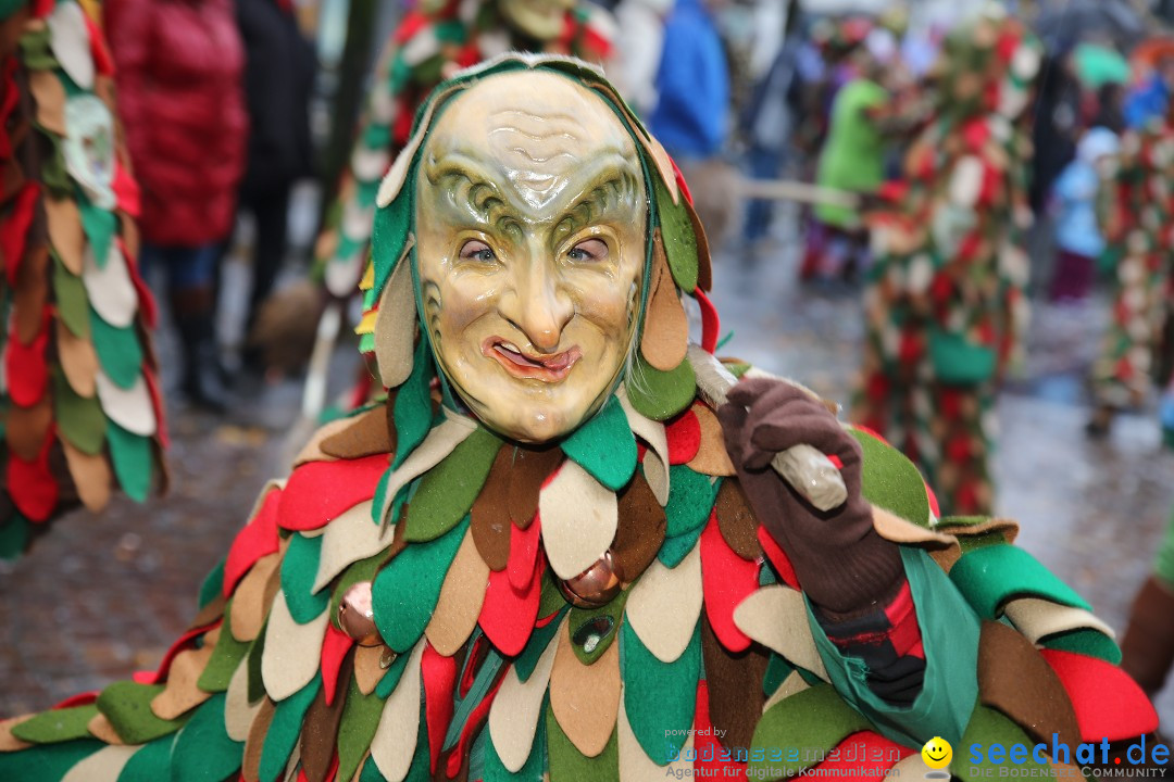 Fasnetsumzug - Fasching: Langenargen am Bodensee, 10.01.2016