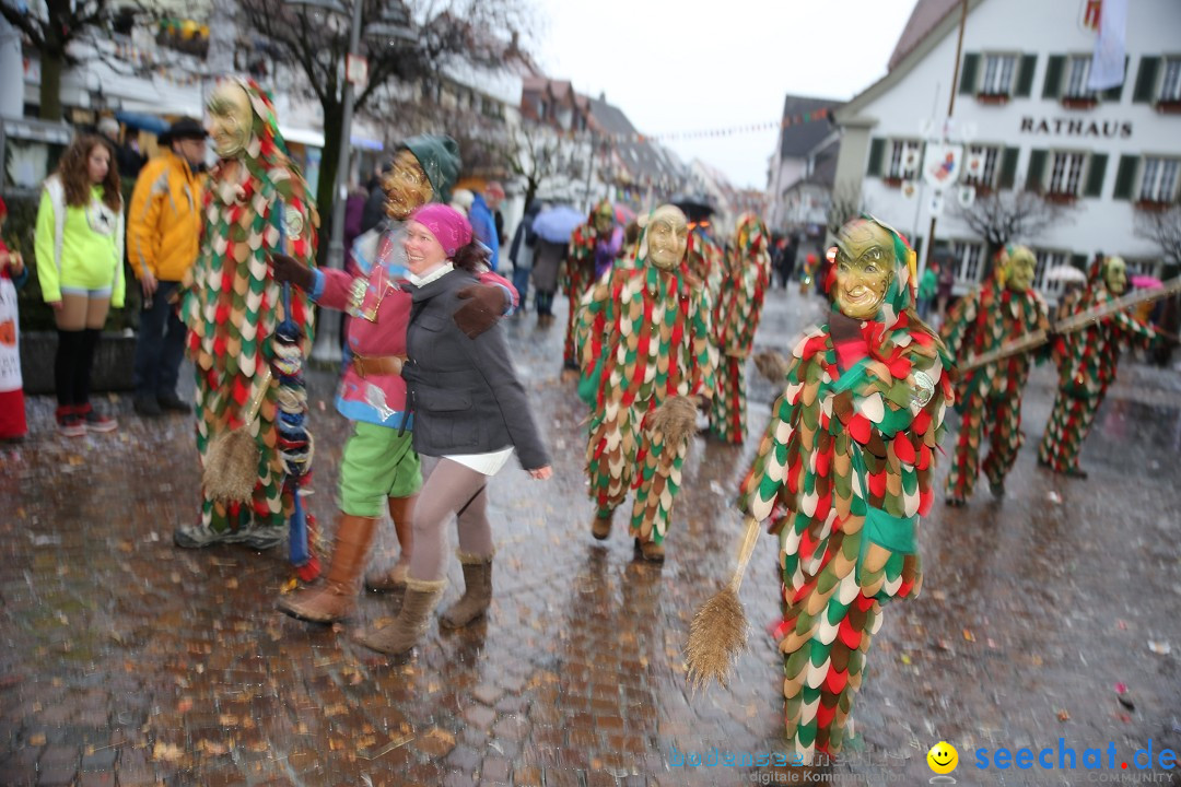 Fasnetsumzug - Fasching: Langenargen am Bodensee, 10.01.2016