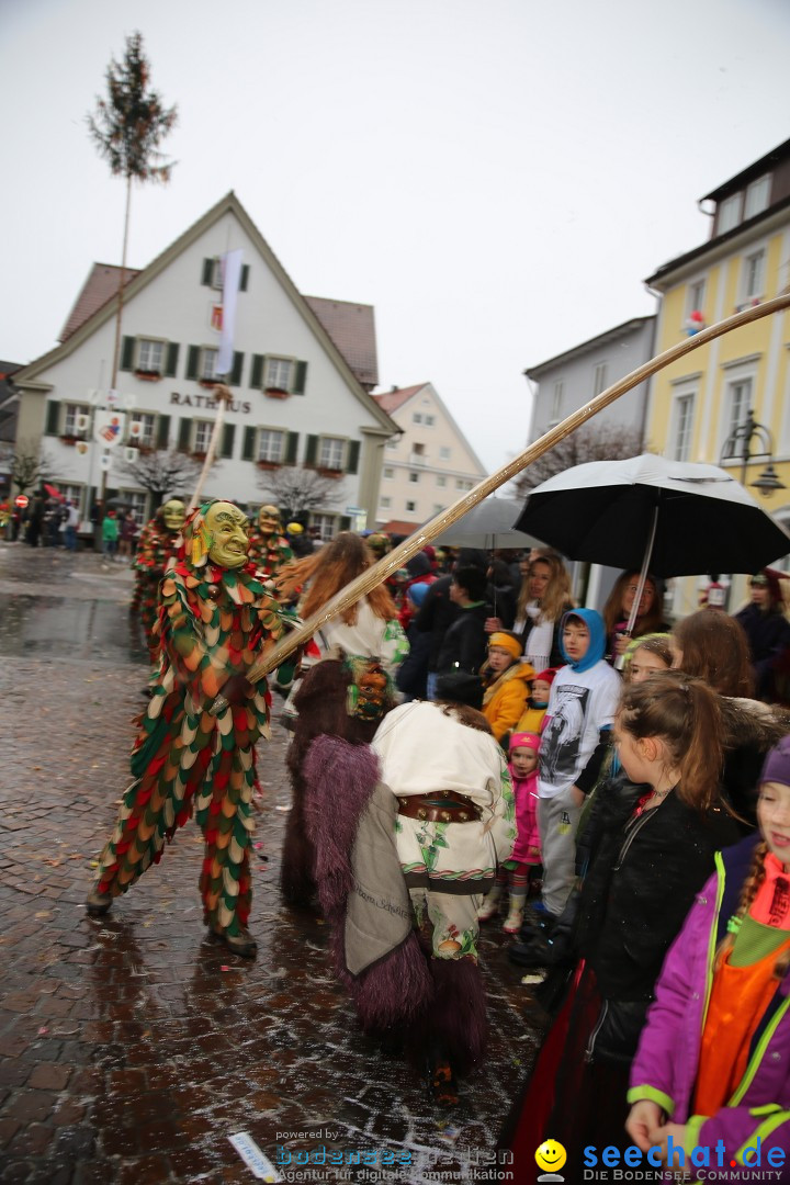 Fasnetsumzug - Fasching: Langenargen am Bodensee, 10.01.2016