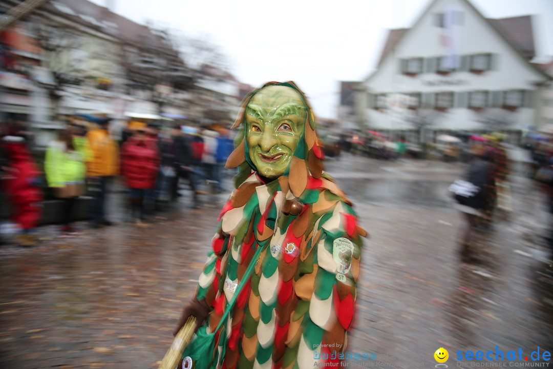 Fasnetsumzug - Fasching: Langenargen am Bodensee, 10.01.2016