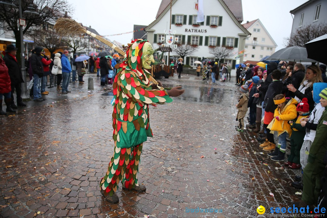 Fasnetsumzug - Fasching: Langenargen am Bodensee, 10.01.2016