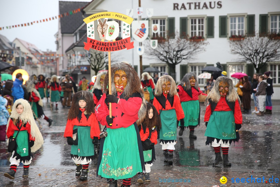 Fasnetsumzug - Fasching: Langenargen am Bodensee, 10.01.2016