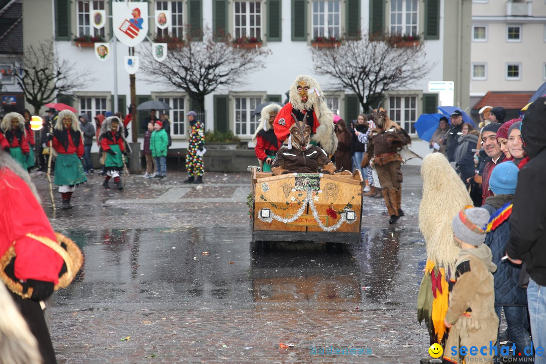 Fasnetsumzug - Fasching: Langenargen am Bodensee, 10.01.2016