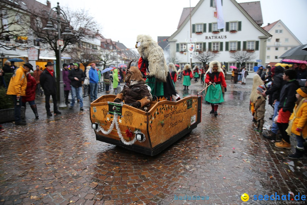 Fasnetsumzug - Fasching: Langenargen am Bodensee, 10.01.2016