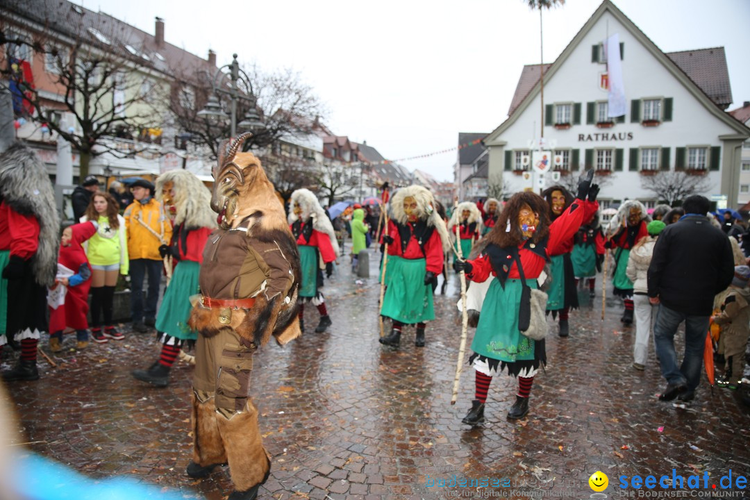 Fasnetsumzug - Fasching: Langenargen am Bodensee, 10.01.2016