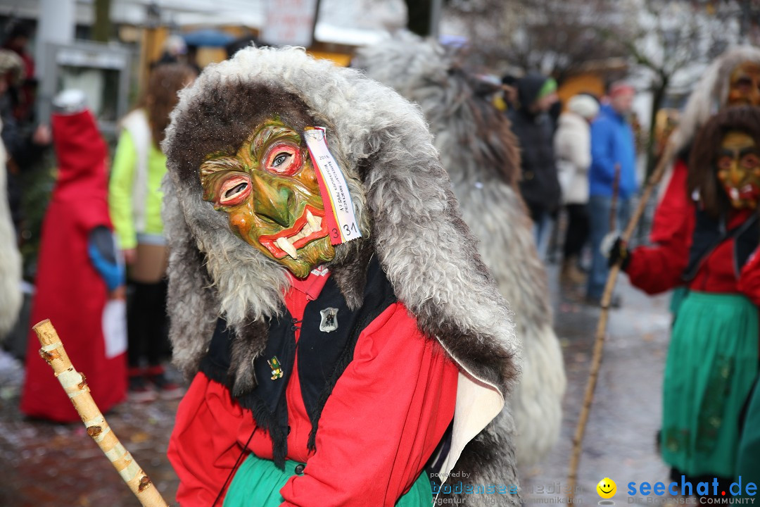 Fasnetsumzug - Fasching: Langenargen am Bodensee, 10.01.2016