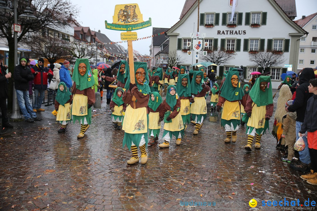 Fasnetsumzug - Fasching: Langenargen am Bodensee, 10.01.2016