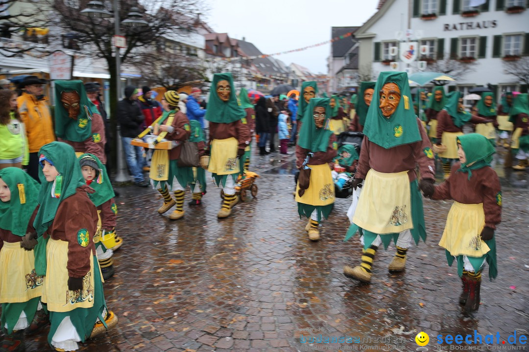 Fasnetsumzug - Fasching: Langenargen am Bodensee, 10.01.2016