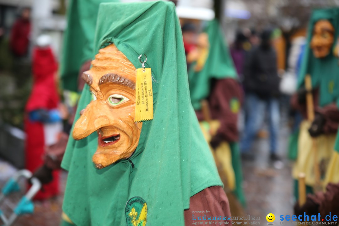 Fasnetsumzug - Fasching: Langenargen am Bodensee, 10.01.2016