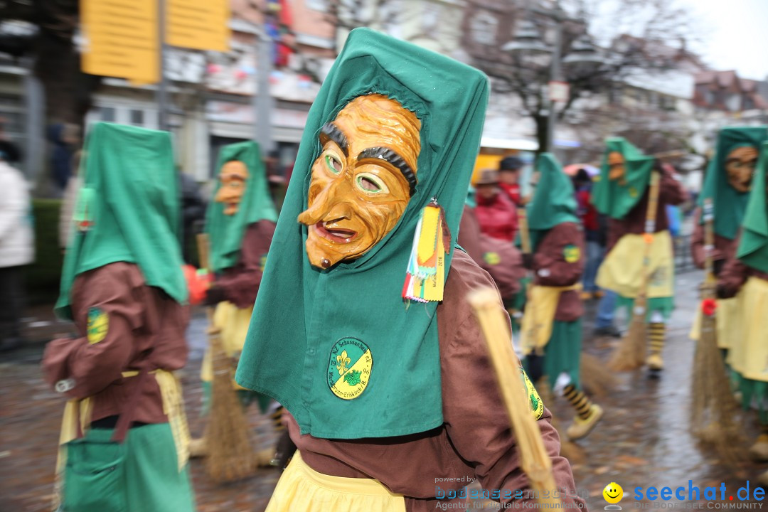 Fasnetsumzug - Fasching: Langenargen am Bodensee, 10.01.2016