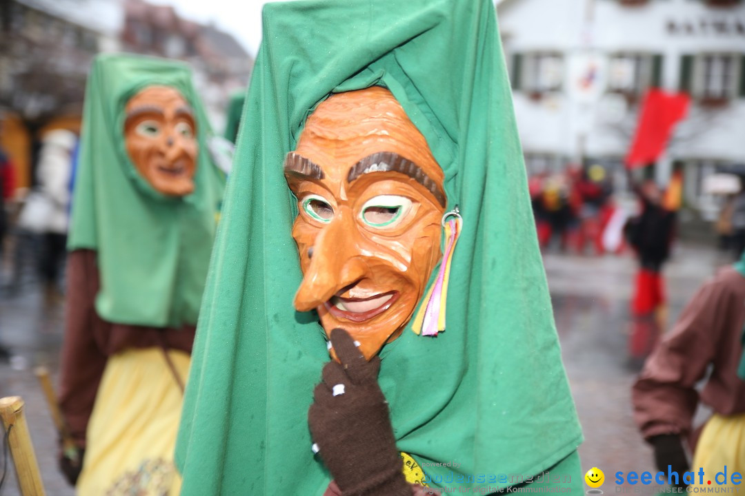 Fasnetsumzug - Fasching: Langenargen am Bodensee, 10.01.2016