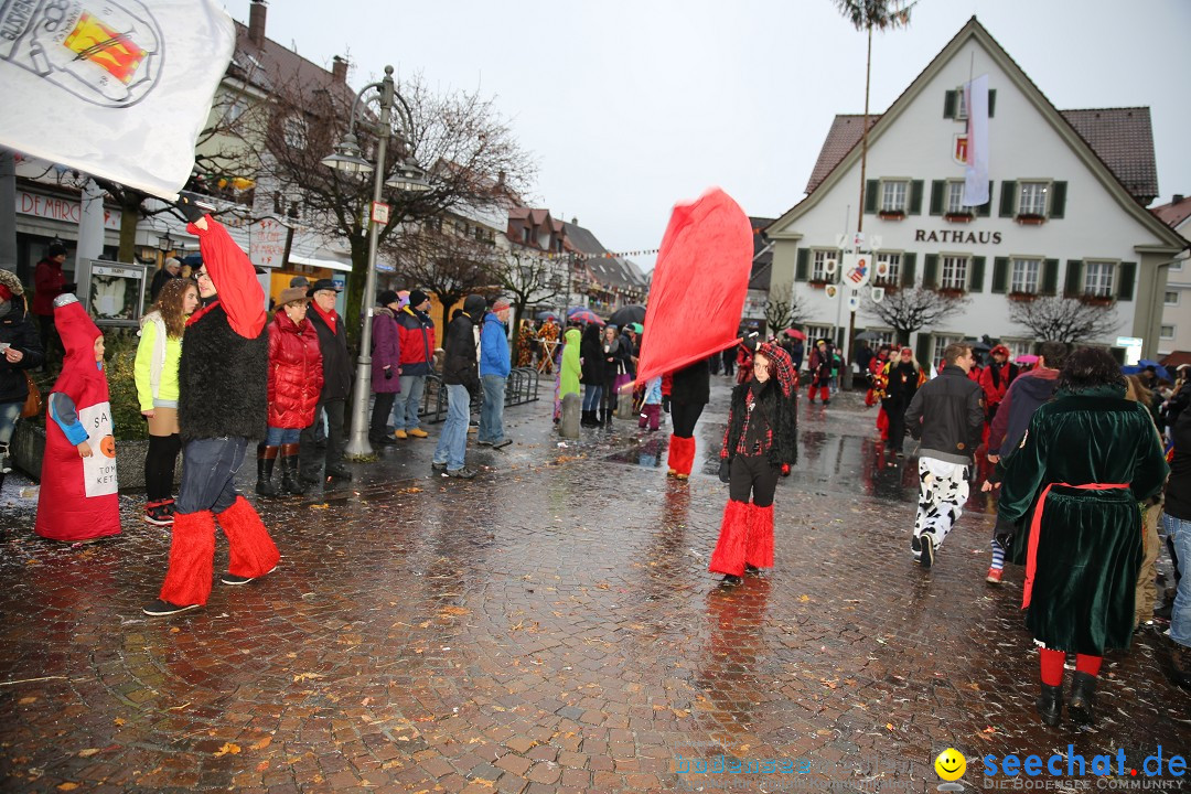 Fasnetsumzug - Fasching: Langenargen am Bodensee, 10.01.2016