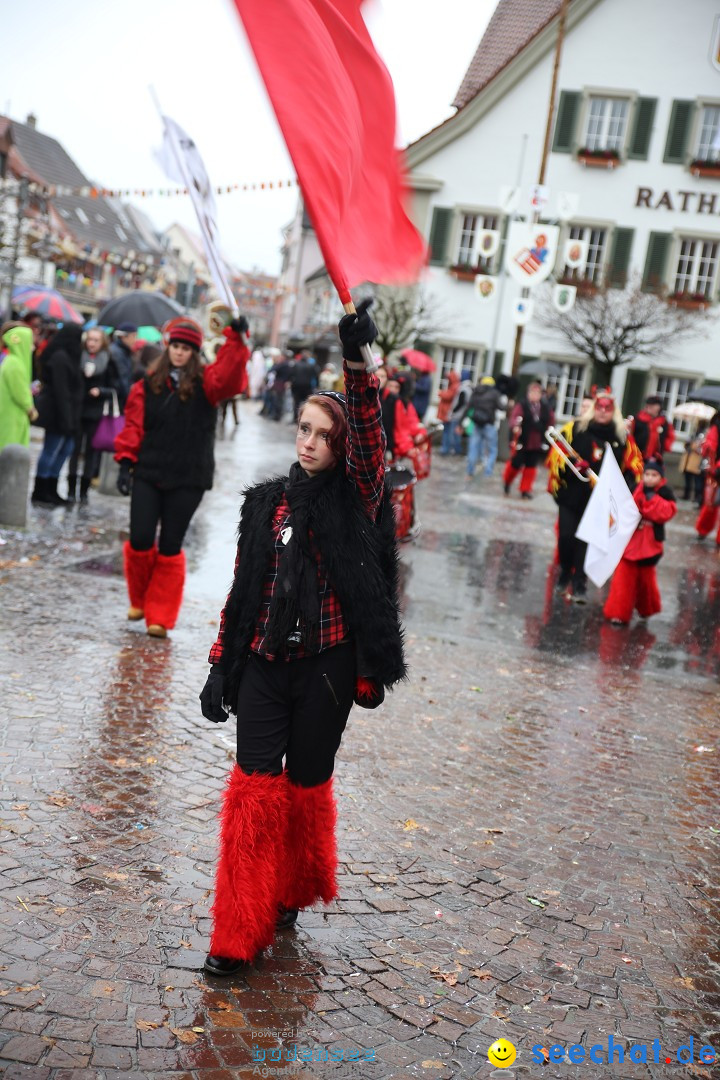 Fasnetsumzug - Fasching: Langenargen am Bodensee, 10.01.2016