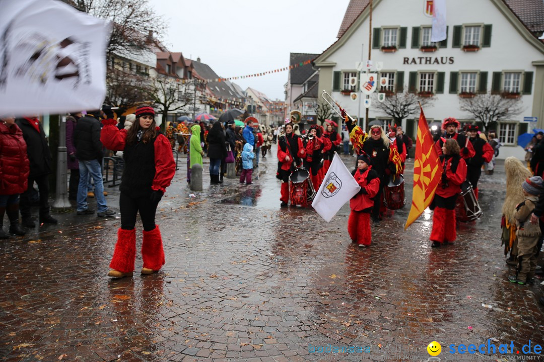 Fasnetsumzug - Fasching: Langenargen am Bodensee, 10.01.2016