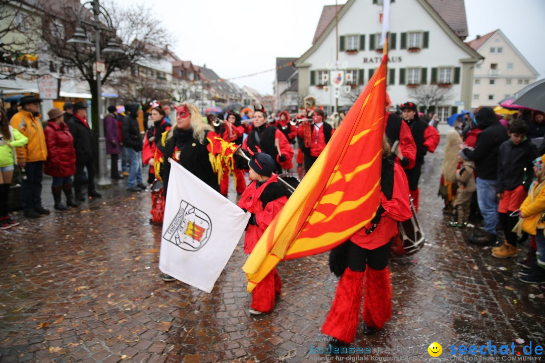 Fasnetsumzug - Fasching: Langenargen am Bodensee, 10.01.2016