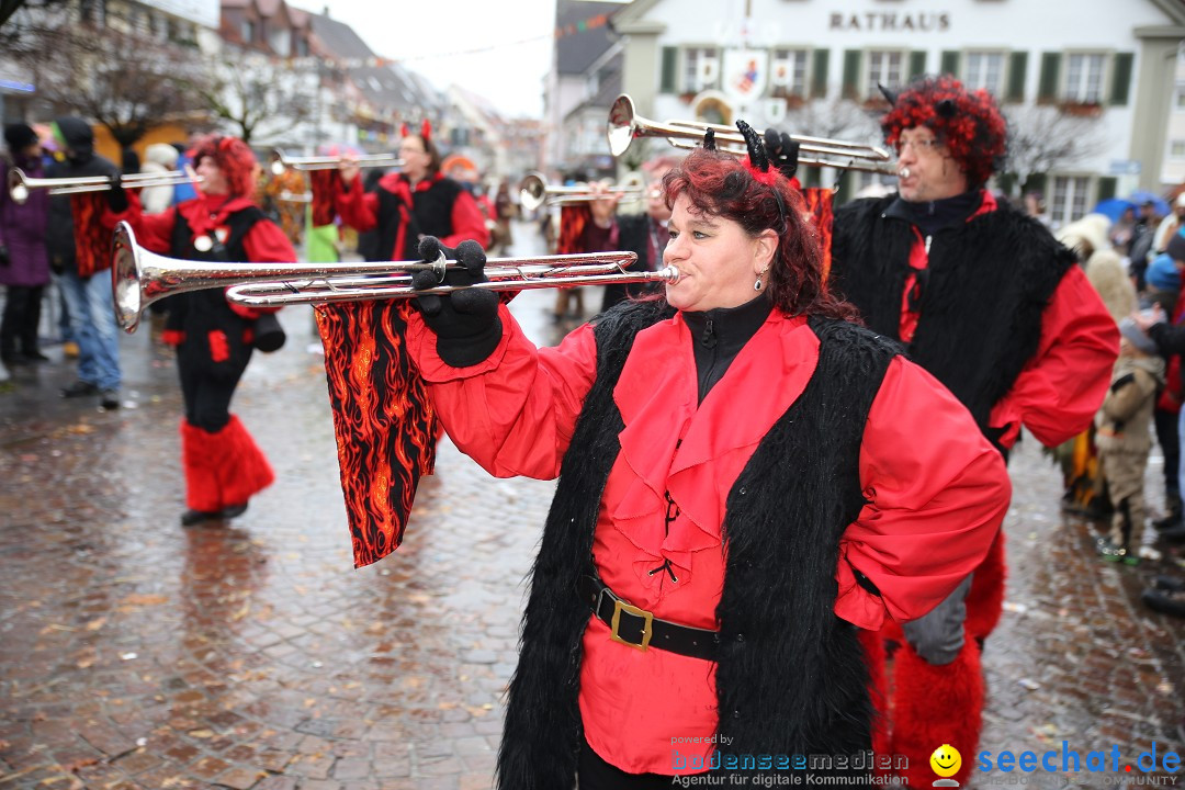 Fasnetsumzug - Fasching: Langenargen am Bodensee, 10.01.2016