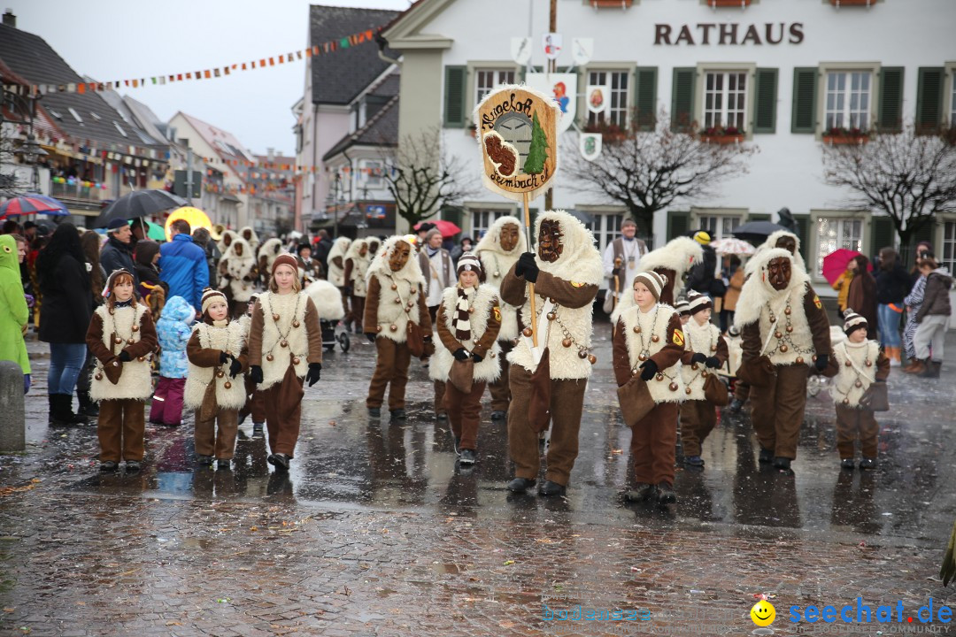 Fasnetsumzug - Fasching: Langenargen am Bodensee, 10.01.2016