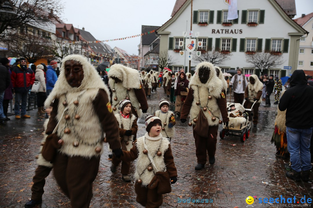 Fasnetsumzug - Fasching: Langenargen am Bodensee, 10.01.2016