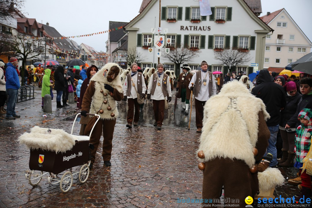 Fasnetsumzug - Fasching: Langenargen am Bodensee, 10.01.2016