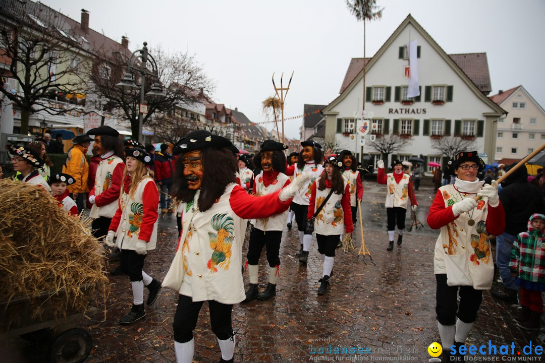 Fasnetsumzug - Fasching: Langenargen am Bodensee, 10.01.2016