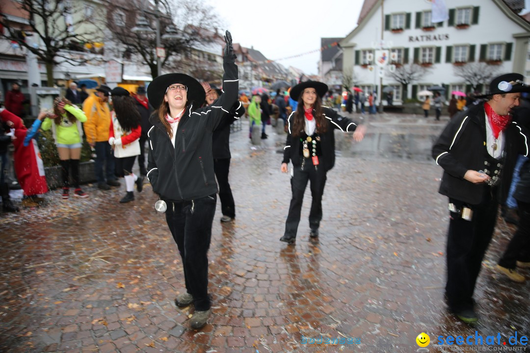 Fasnetsumzug - Fasching: Langenargen am Bodensee, 10.01.2016