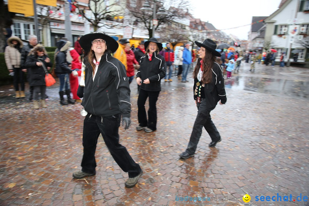 Fasnetsumzug - Fasching: Langenargen am Bodensee, 10.01.2016