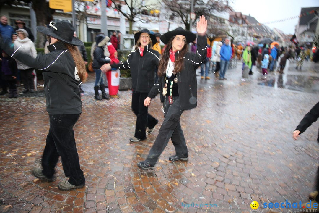 Fasnetsumzug - Fasching: Langenargen am Bodensee, 10.01.2016