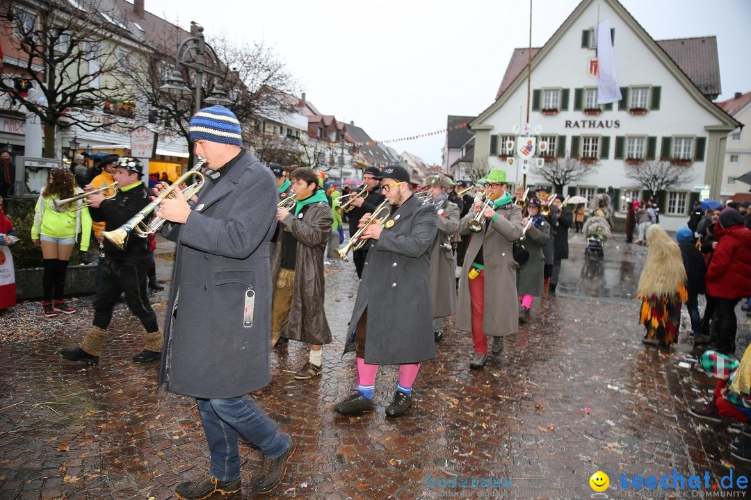 Fasnetsumzug - Fasching: Langenargen am Bodensee, 10.01.2016