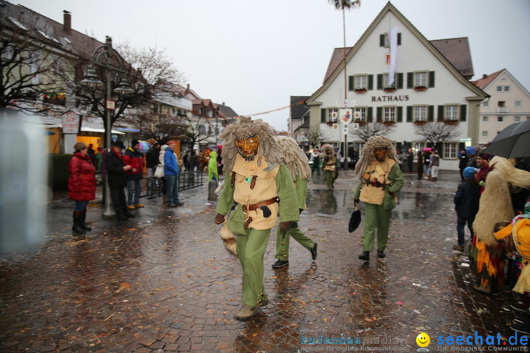 Fasnetsumzug - Fasching: Langenargen am Bodensee, 10.01.2016