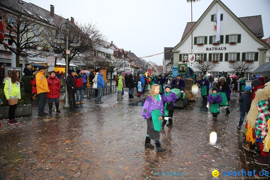 Fasnetsumzug - Fasching: Langenargen am Bodensee, 10.01.2016