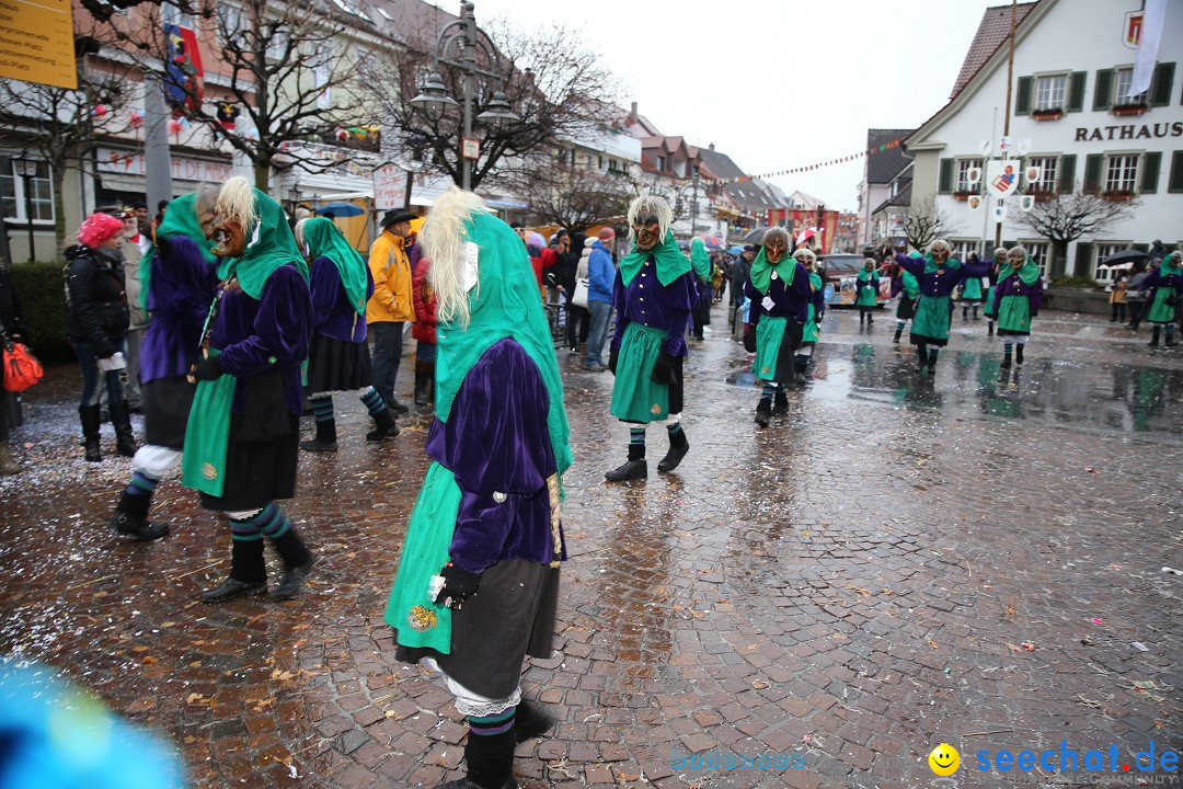 Fasnetsumzug - Fasching: Langenargen am Bodensee, 10.01.2016