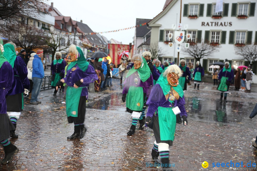 Fasnetsumzug - Fasching: Langenargen am Bodensee, 10.01.2016