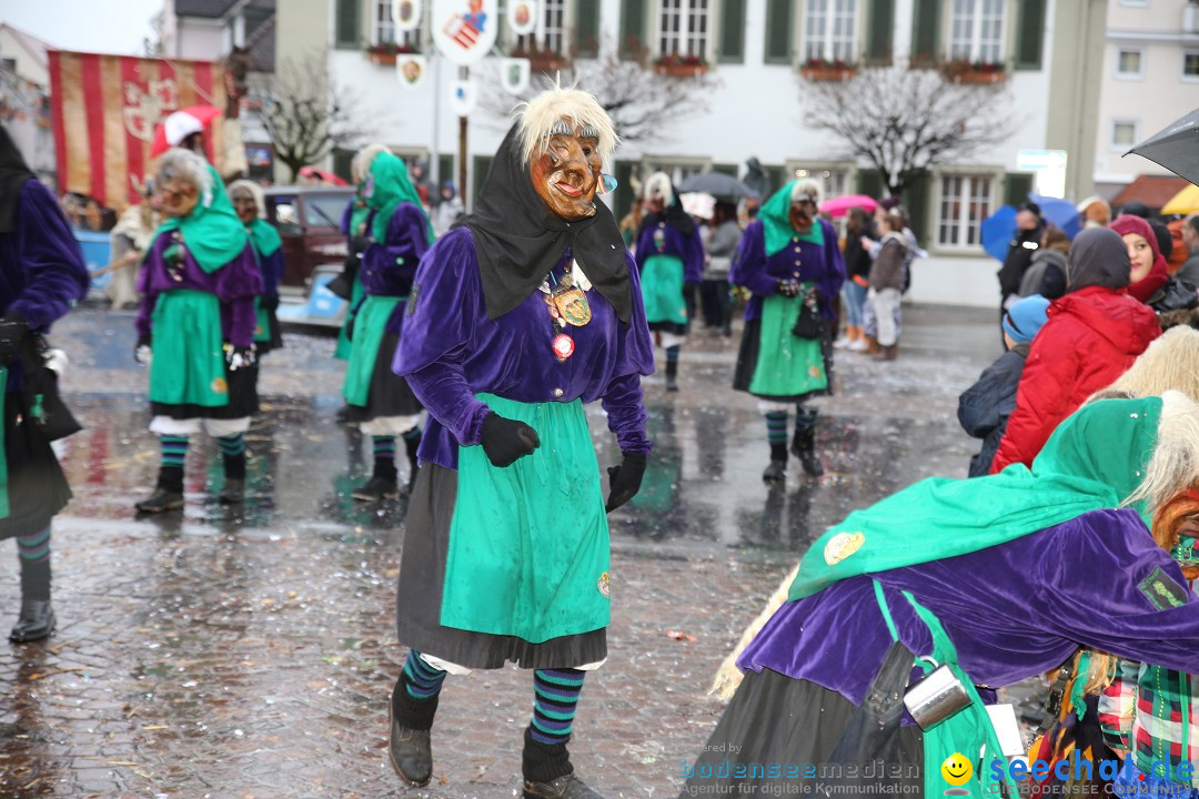 Fasnetsumzug - Fasching: Langenargen am Bodensee, 10.01.2016