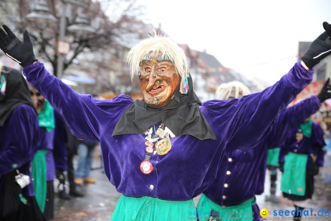 Fasnetsumzug - Fasching: Langenargen am Bodensee, 10.01.2016